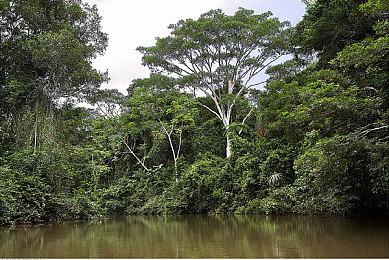 免费射击游戏《分裂之门》在《光环：无限》发售以后更受欢迎